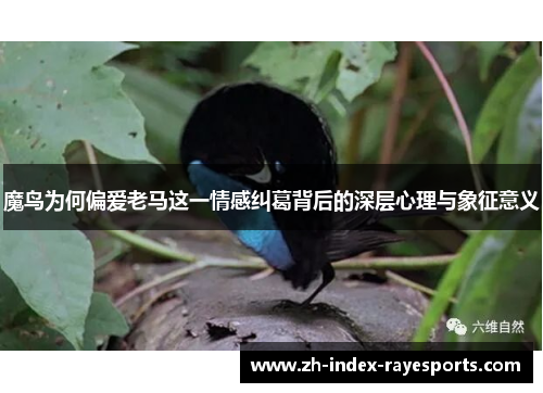 魔鸟为何偏爱老马这一情感纠葛背后的深层心理与象征意义 魔鸟为何偏爱老马这一情感纠葛背后的深层心理与象征意义